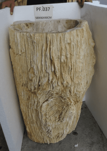 Primitive Petrified (Fossilised) Wood Pedestal Sink (PF.037) @ approx W:58cm x D:46cm x H:90 cm