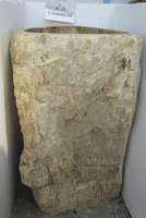 Resplendent Petrified ( Fossilised) Wood Pedestal Sink (PF.25) @ approx W:51cm x D:48 cm x H:91cm