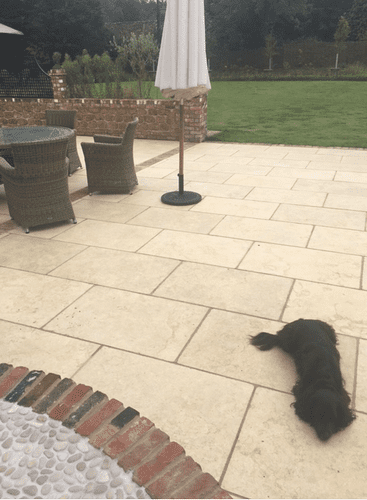 Sample Jerusalem Cream Tumbled Limestone Calibrated Pavers