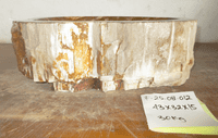 Sensational Petrified Wood Sink approx 43 cm x  32 cm  x 15 cm (Sink F.25.08.012)