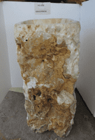 Sumptuous Jurassic Onyx Fossilised  Free Standing Sink