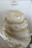 Sumptuous Jurassic Onyx Fossilised  Free Standing Sink