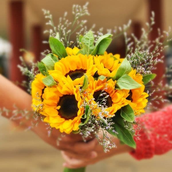 Μπουκετο με κίτρνες τουλίπες .