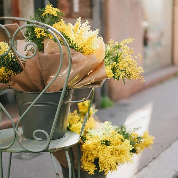 Μπουκέτο με ανοιξιάτικες μιμόζες
