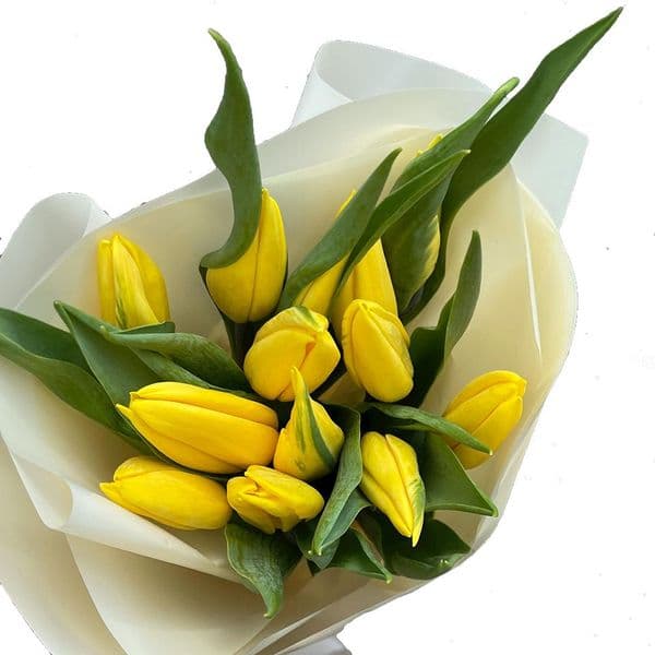 Μπουκετο με 10 τουλιπες κιτρινες - Bouquet of 10 tulips