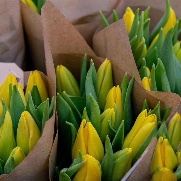 Μπουκετο με 20 τουλιπες κιτρινες - Bouquet of 20 tulips