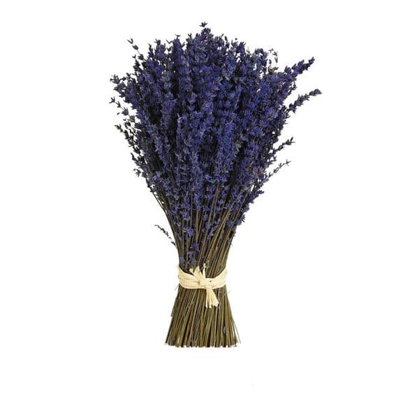 ΚΕΡΩΜΕΝΕΣ ΛΕΒΑΝΤΕΣ ΔΕΜΑΤΙ 48Χ20εκ / PRESERVED LAVENDERS BUNCH 48X20cm