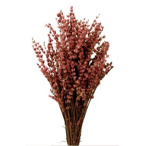 ΡΟΖ ΚΕΡΩΜΕΝΕΣ ΛΕΒΑΝΤΕΣ ΔΕΜΑΤΙ 48Χ34εκ /PINK PRESERVED LAVENDERS BUNCH 48X34cm
