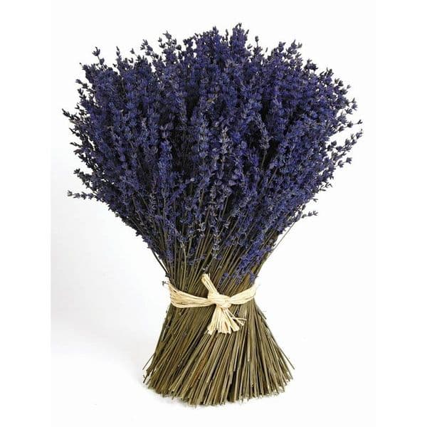 ΚΕΡΩΜΕΝΕΣ ΛΕΒΑΝΤΕΣ ΔΕΜΑΤΙ 48Χ34εκ / PRESERVED LAVENDERS BUNCH 48X34cm