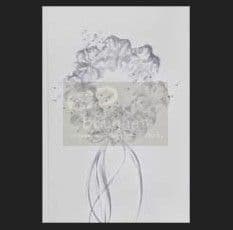 Βιβλίο ευχών γάμου 8