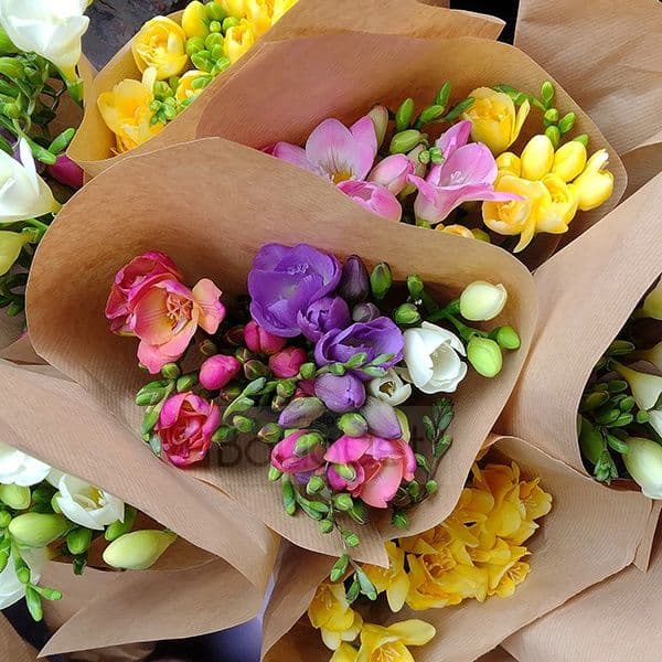 Μπουκετο με φρεζιες / Bouquet of Freesias