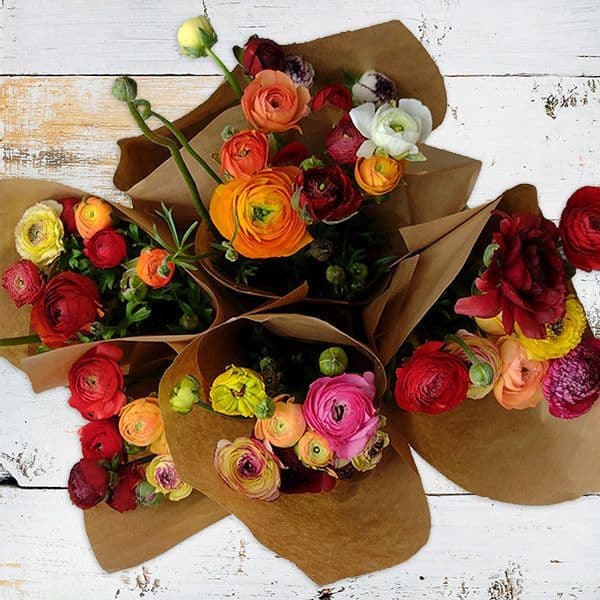 Διπλό μπουκετο με νεραγκουλες - Bouquet of ranunculus