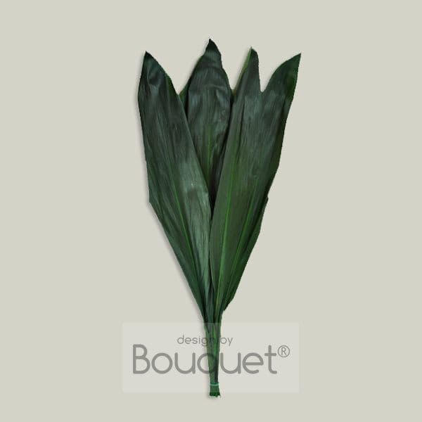 ΦΥΣΙΚΑ ΔΙΑΤΗΡΗΜΕΝΑ ΦΥΛΛΑ CORDELINE