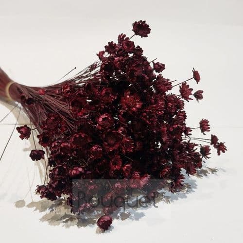 ΓΛΙΞΙΑ ΜΠΟΡΝΤΟ / GLIXIA BURGUNDY