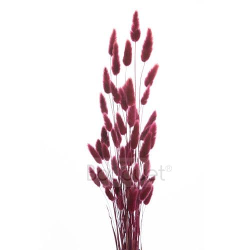 ΜΠΟΡΝΤΟ LAGURUS / NATURAL BURGUNDY LAGURUS