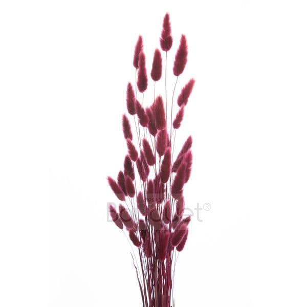 ΜΠΟΡΝΤΟ LAGURUS / NATURAL BURGUNDY LAGURUS