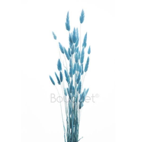 ΓΑΛΑΖΙΟ LAGURUS / NATURAL LIGHT BLUE LAGURUS