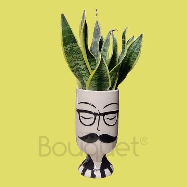 Μπουκετο με κίτρνες τουλίπες .