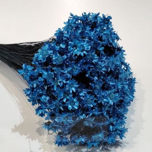 ΓΛΙΞΙΑ ΜΠΛΕ / NATURAL BLUE GLIXIA