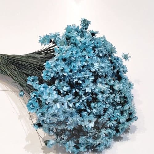 ΓΛΙΞΙΑ ΓΑΛΑΖΙΑ / NATURAL LIGHT BLUE GLIXIA
