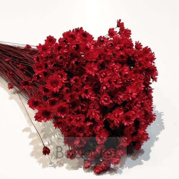 ΓΛΙΞΙΑ ΚΟΚΚΙΝΗ / NATURAL RED GLIXIA