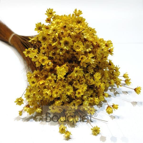 ΓΛΙΞΙΑ ΚΙΤΡΙΝΟ / NATURAL YELLOW GLIXIA