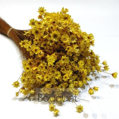 ΓΛΙΞΙΑ ΚΙΤΡΙΝΟ / NATURAL YELLOW GLIXIA