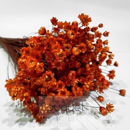 ΓΛΙΞΙΑ ΠΟΡΤΟΚΑΛΙ / ORANGE GLIXIA