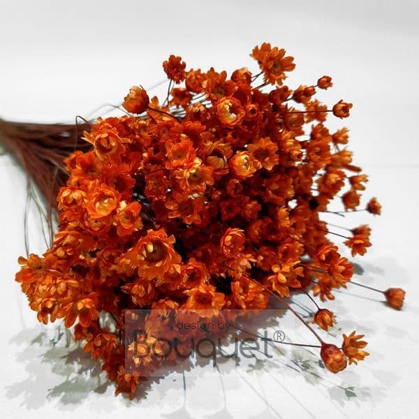 ΓΛΙΞΙΑ ΠΟΡΤΟΚΑΛΙ / ORANGE GLIXIA