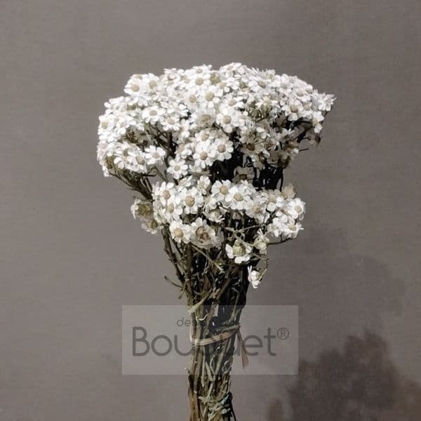 ΦΥΣΙΚΗ ΑΠΟΞΗΡΑΜΕΝΗ OXODIA / DRIED NATURAL OXODIA