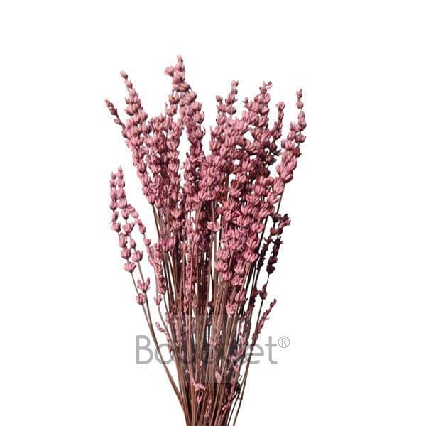 ΡΟΖ ΚΕΡΩΜΕΝΕΣ ΛΕΒΑΝΤΕΣ ΜΑΤΣΟ / PINK PRESERVED LAVENDERS BUNCH