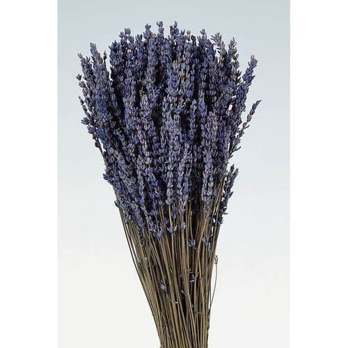 ΚΕΡΩΜΕΝΕΣ ΛΕΒΑΝΤΕΣ ΜΑΤΣΟ / PRESERVED LAVENDERS BUNCH