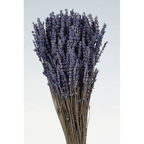 ΚΕΡΩΜΕΝΕΣ ΛΕΒΑΝΤΕΣ ΜΑΤΣΟ / PRESERVED LAVENDERS BUNCH