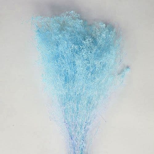 ΚΕΡΩΜΕΝΗ ΓΑΛΑΖΙΑ ΓΥΨΟΦΙΛΛΗ / PRESERVED LIGHT BLUE GYPSOPHILA