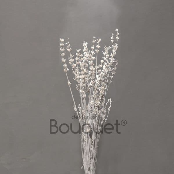 ΚΕΡΩΜΕΝΕΣ ΛΕΒΑΝΤΕΣ ΜΑΤΣΟ / PRESERVED WHITE LAVENDERS BUNCH
