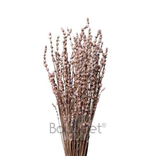 ΣΑΠΙΟ ΜΗΛΟ ΚΕΡΩΜΕΝΕΣ ΛΕΒΑΝΤΕΣ ΜΑΤΣΟ / PUCE PRESERVED LAVENDERS BUNCH