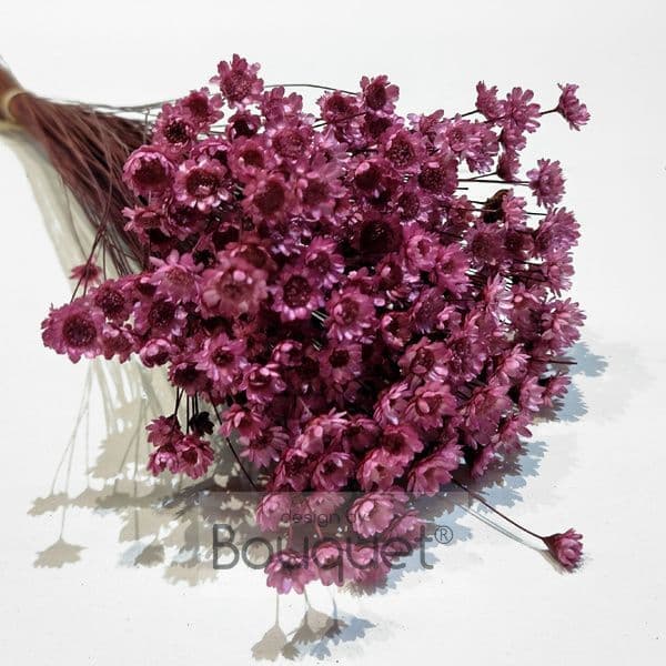 ΓΛΙΞΙΑ ΡΟΖ ΒΑΤΟΜΟΥΡΟ/ RASPBERRY PINK GLIXIA