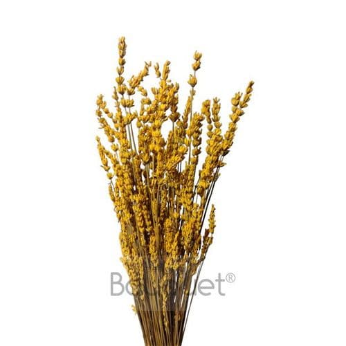 ΚΙΤΡΙΝΕΣ ΚΕΡΩΜΕΝΕΣ ΛΕΒΑΝΤΕΣ ΜΑΤΣΟ / YELLOW PRESERVED LAVENDERS BUNCH