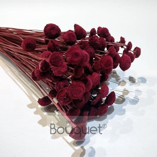 BOTAO ΚΕΡΩΜΕΝΟ ΣΚΟΥΡΟ ΒΑΤΟΜΟΥΡΟ / PRESERVED BOTAO DARK RASPBERRY
