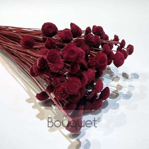 BOTAO ΚΕΡΩΜΕΝΟ ΣΚΟΥΡΟ ΒΑΤΟΜΟΥΡΟ / PRESERVED BOTAO DARK RASPBERRY