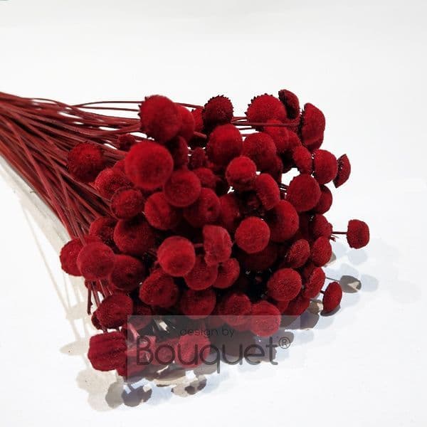 BOTAO ΚΕΡΩΜΕΝΟ ΚΟΚΚΙΝΟ / PRESERVED BOTAO RED