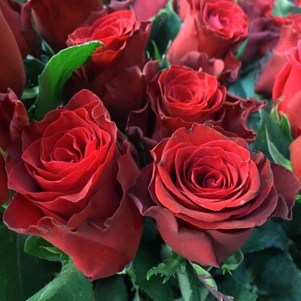 Bouquet of 10 Red roses / Μπουκέτο με 10 κόκκινα τριαντάφυλλα