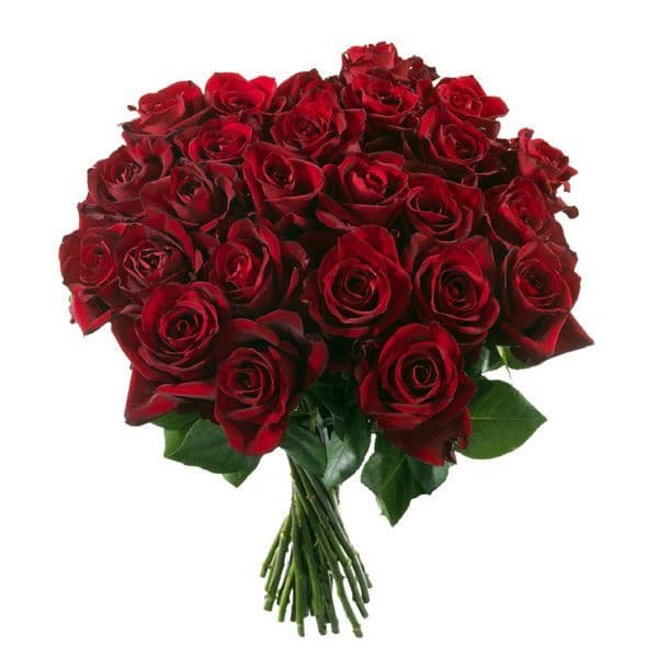Bouquet of 20 big Red roses / Μπουκετο με 20 κοκκινα τριανταφυλλα με μεγάλα άνθη