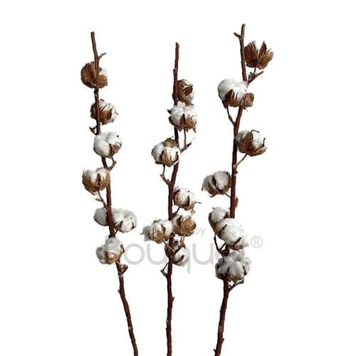 BOUQUET OF 3 COTTON STEMS - ΜΠΟΥΚΕΤΟ ΜΕ 3 ΒΑΜΒΑΚΙΑ