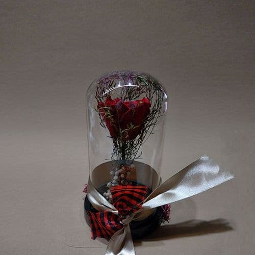 Classic Red Forever Rose in Dome