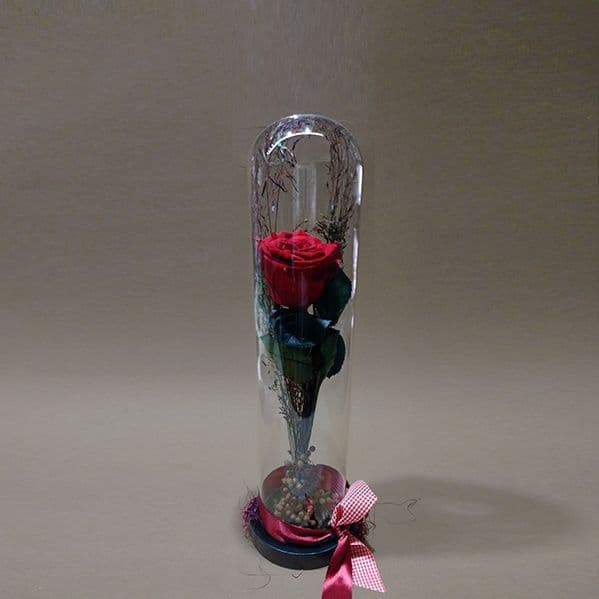 Forever Rose in Dome | Luxury Valentine’s Day Gift