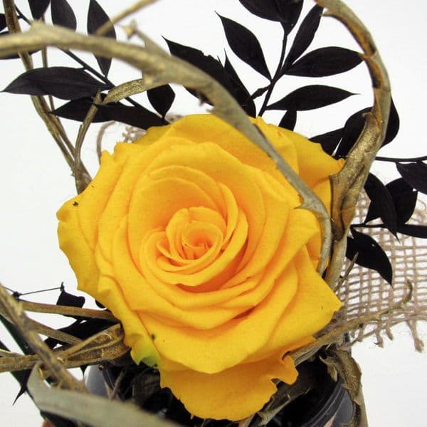 FOREVER ROSE in a glass vase