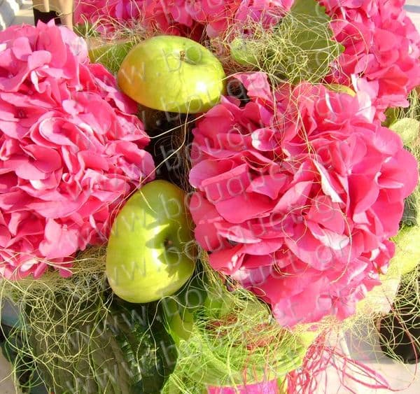 fucsia is the color