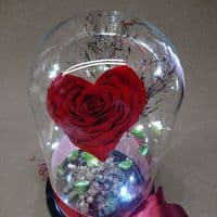 Forever Rose in Dome | Luxury Valentine’s Day Gift