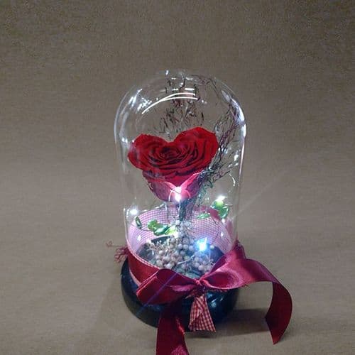 Heart-Shaped Forever Rose in Dome with Fairy Lights